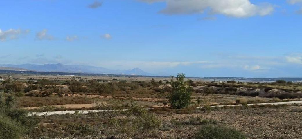 Chalet en venta en Elche, La hoya photo 0