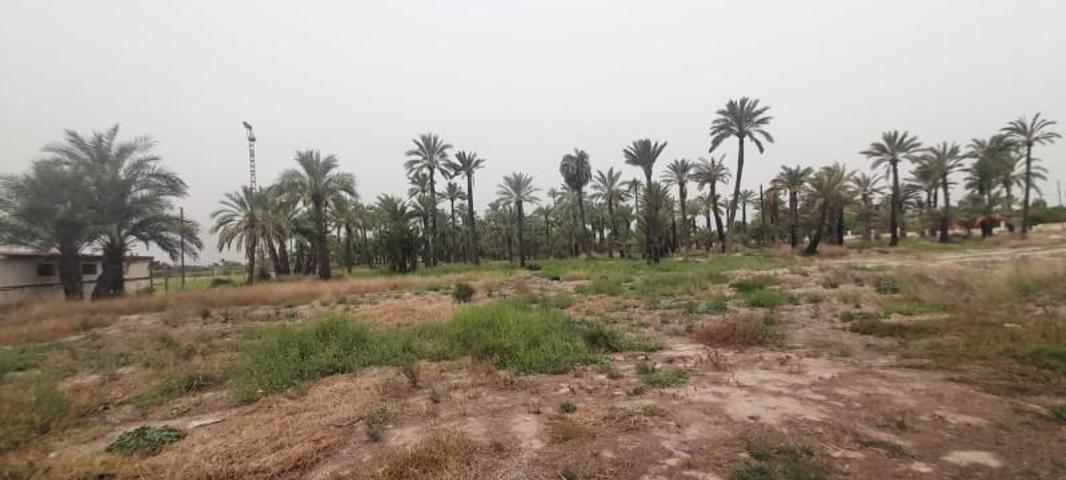 Terreno en venta en Elche, Daimes photo 0