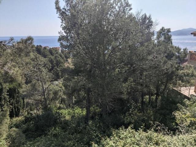 Terreno en venta en Llançà, Llançà photo 0