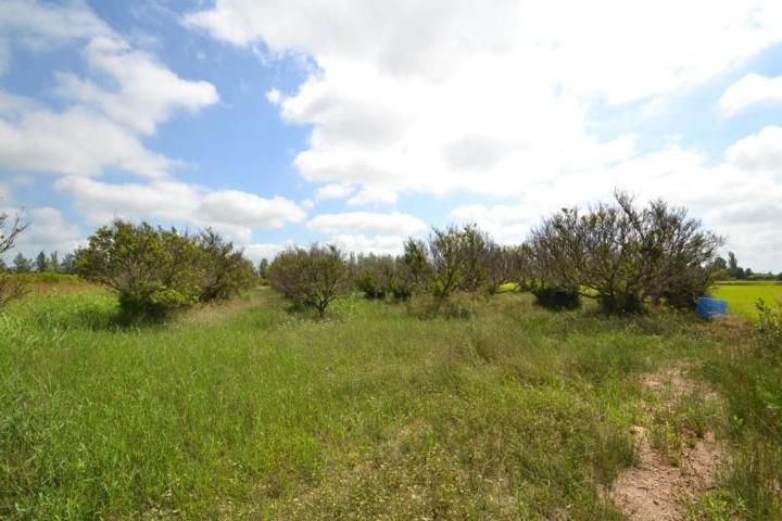 Chalet en venta en Sant Jaume d'Enveja, Balada photo 0