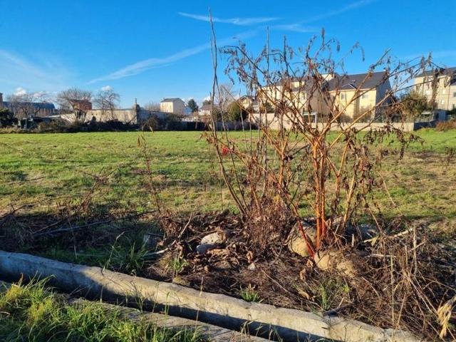 Terreno en venta en Ponferrada, Flores de Sil photo 0