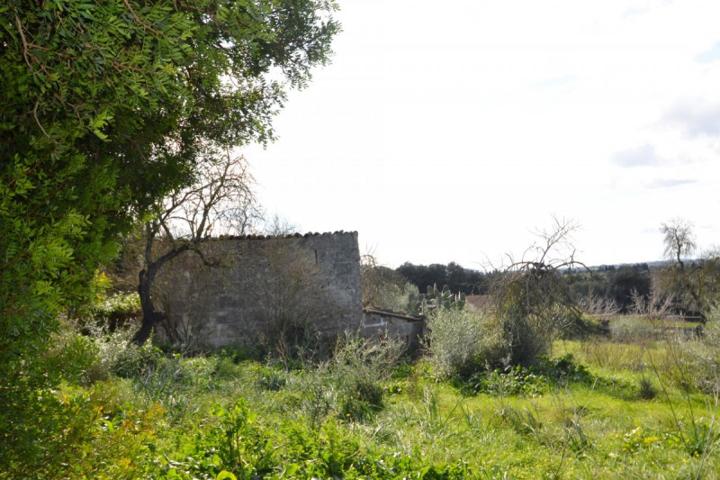 Chalet en venta en Muro, Muro afueras photo 0