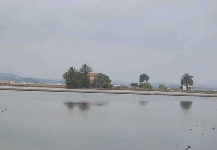 Chalet en venta en Amposta, Delta de l'Ebre photo 0