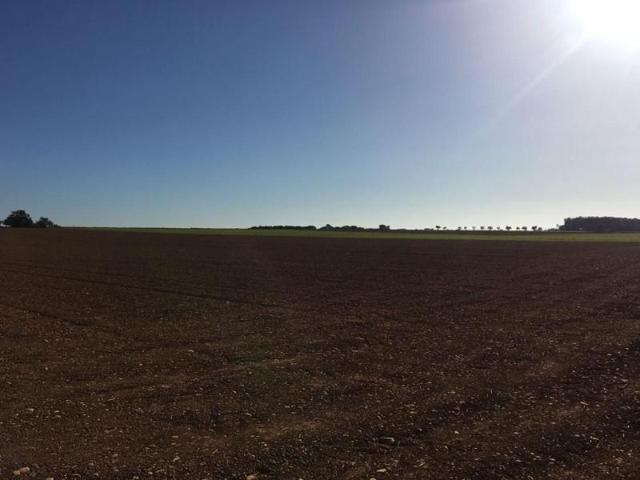 Terreno en venta en Far d'Empordà, Centre photo 0