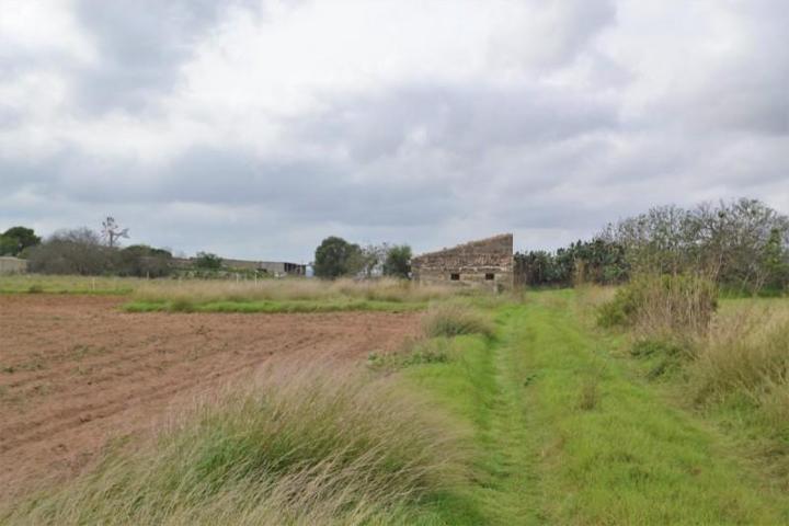 Casa con terreno en venta en Muro, Son sant martí photo 0