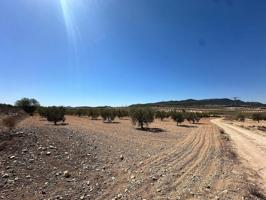 Terreno en venta en Cañada del Trigo photo 0