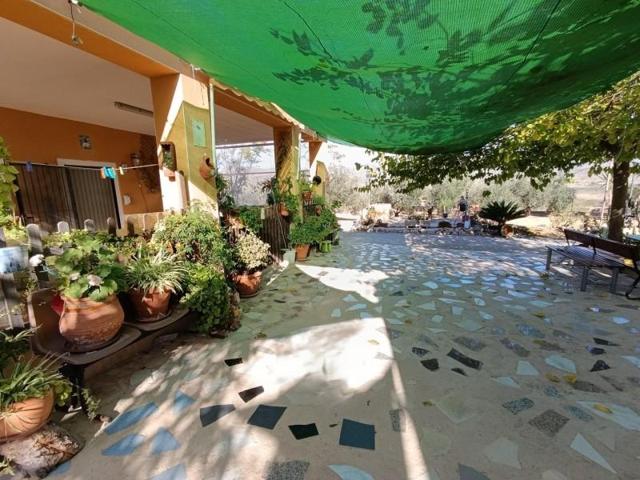 Casa con terreno en venta en Hondon de los Frailes, CASAS DE GALIANA photo 0