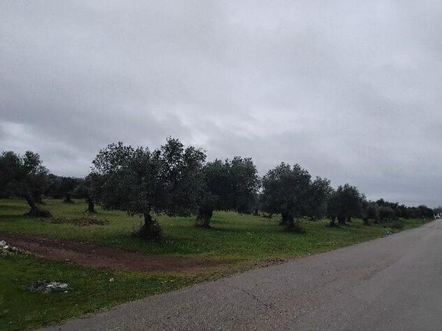 Terreno en venta en Puerto Serrano, Puerto serrano photo 0