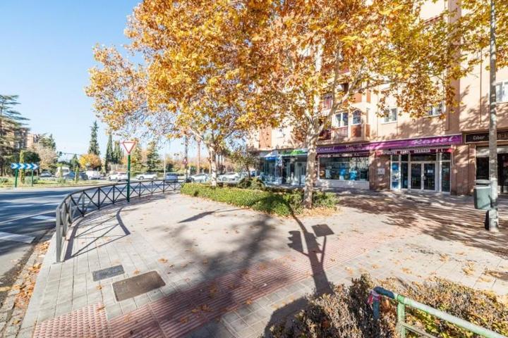 Local comercial en venta en Granada, Parque almunia photo 0