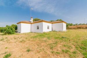 Chalet en venta en Chiclana de la Frontera, La rana verde photo 0