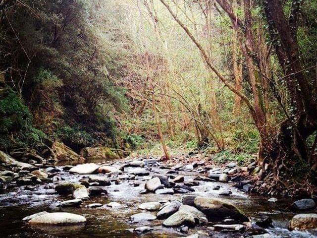Piso en venta en Sant Esteve de Palautordera, Can garbeller photo 0