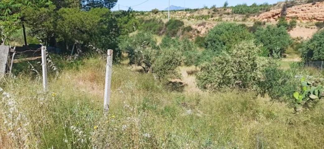 Casas de pueblo en venta en Abanilla, Macisvenda Campo photo 0