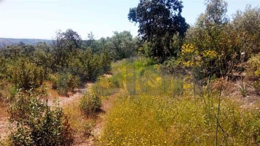 Terreno en venta en Navarrés, La Canal de Navarrés photo 0