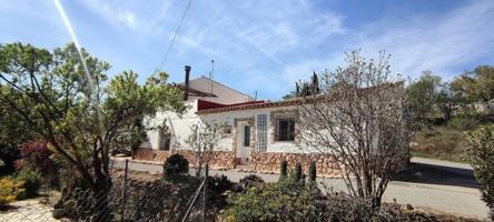 Casa con terreno en venta en Pinoso photo 0