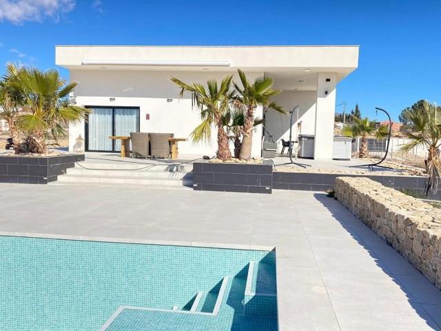 Chalet en venta en Pinoso photo 0