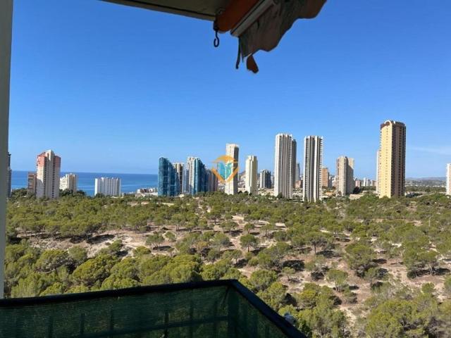 Apartamento en venta en Benidorm, Pueblo Poniente photo 0