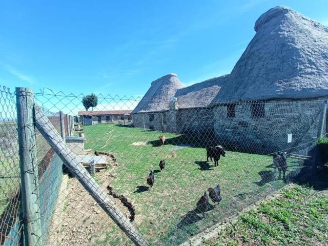 Local comercial en venta en Valdefresno, Arcahueja photo 0