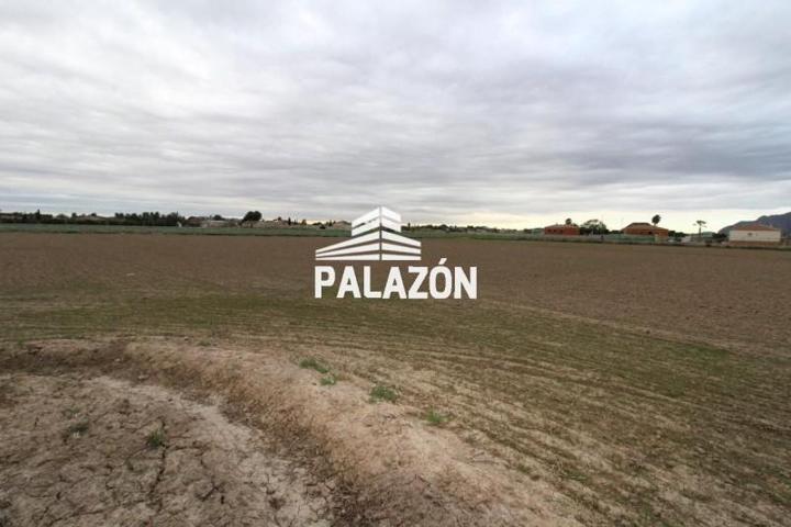 Casa con terreno en venta en Catral photo 0