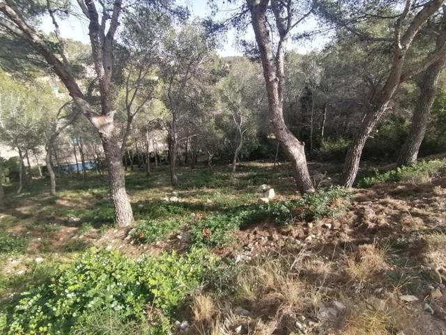 Terreno en venta en Cunit, Els Jardins photo 0