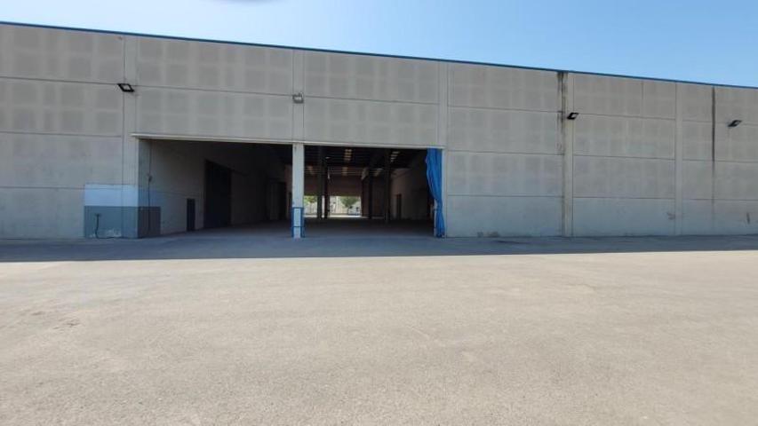 Nave industrial en venta en L'Arboç, Cataluna photo 0