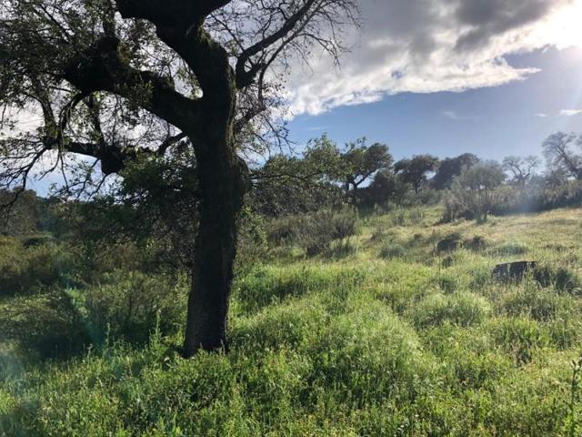 Terreno en venta en Plasencia, Carretera Carcaboso, 10600 photo 0