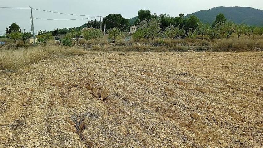Terreno en venta en Monovar-Monover photo 0