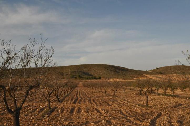 Terreno en venta en Abanilla photo 0