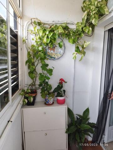 Piso en venta en Plasencia, Calle del Niscalo, 10600 photo 0