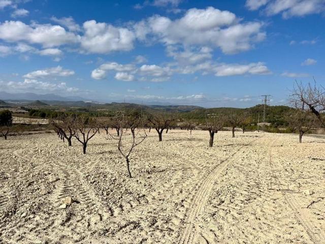 Terreno en venta en Bullas photo 0