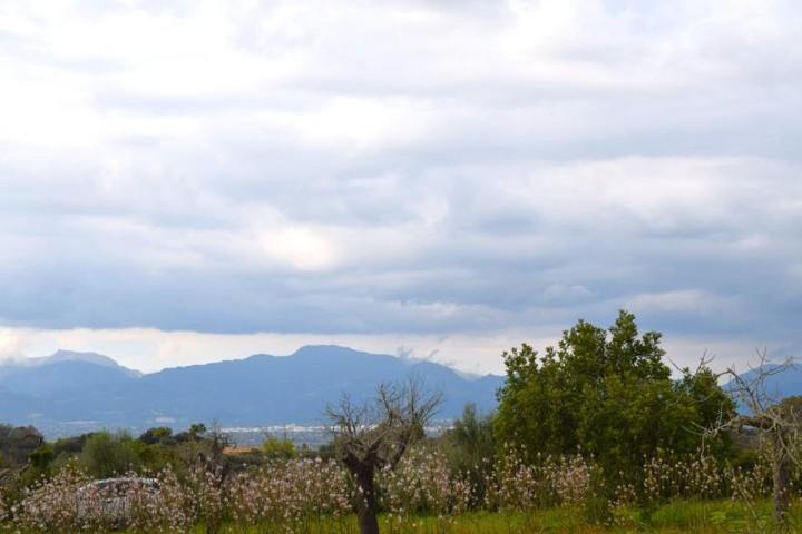 Terreno en venta en Costitx, Costitx photo 0