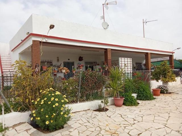 Casa con terreno en venta en Hondon de las Nieves, SIMOLA photo 0