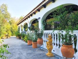 Casa con terreno en venta en Sotogrande, San Martin del Tesorillo, Sotogrande Alto photo 0