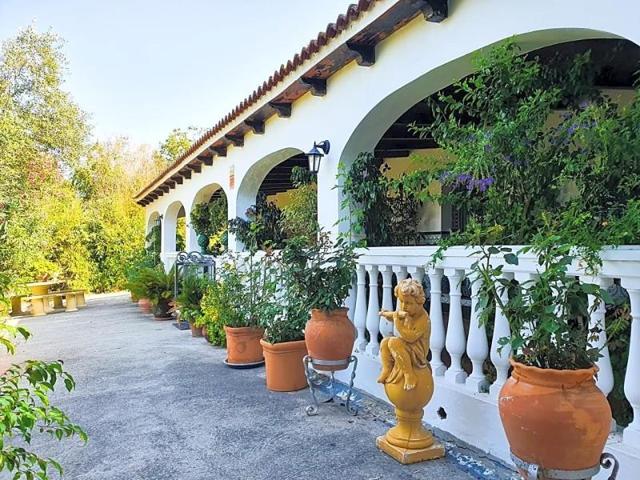 Casa con terreno en venta en Sotogrande, San Martin del Tesorillo, Sotogrande Alto photo 0