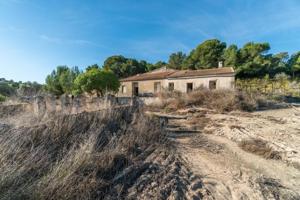 Casa con terreno en venta en Pilar de la Horadada, Pinar de la Perdiz photo 0
