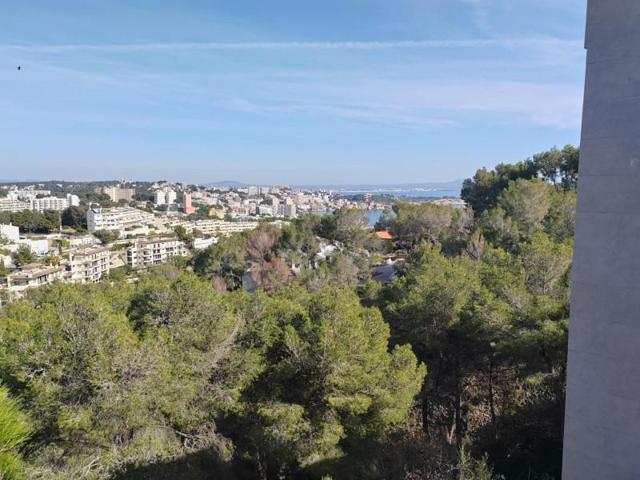 Chalet en venta en Calvia, Cas Catala photo 0