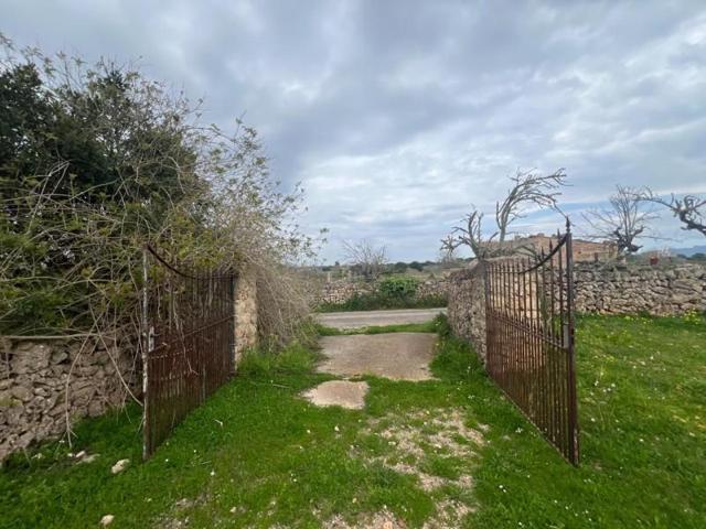 Casa con terreno en venta en Santa Margalida, Santa Margalida photo 0