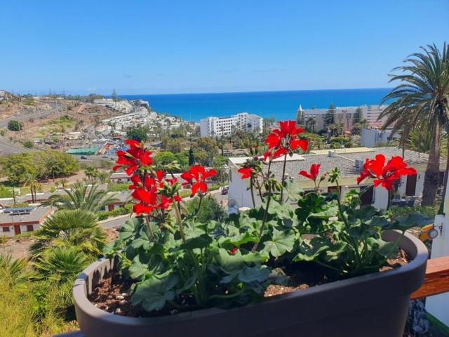 Adosada en venta en San Bartolomé de Tirajana, San Agustín-Bahía Feliz photo 0