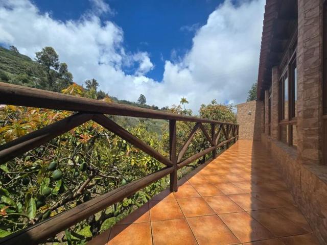 Casa con terreno en venta en Moya, Islas canarias photo 0