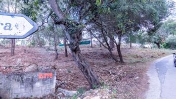 Terreno en venta en Denia, MON MITAD photo 0