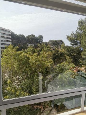Piso en alquiler en Calvia, Portals Nous photo 0