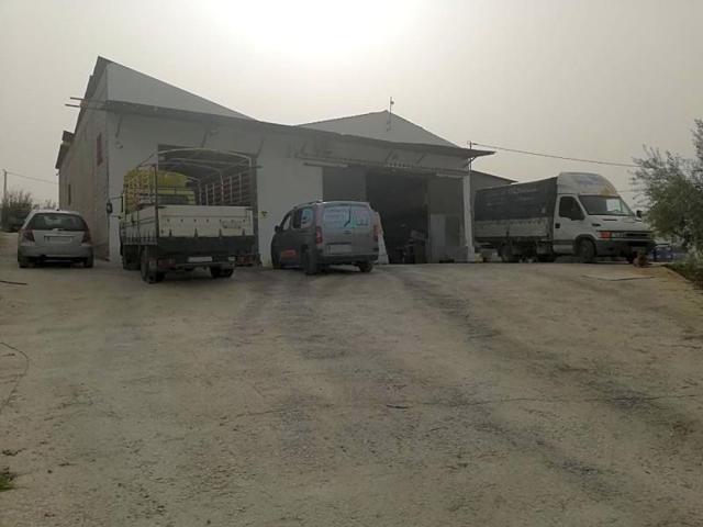 Nave industrial en venta en Coín, Carretera Coín-Cártama, 29100 photo 0
