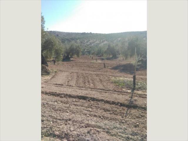 Terreno en venta en Lucena, Lucena photo 0