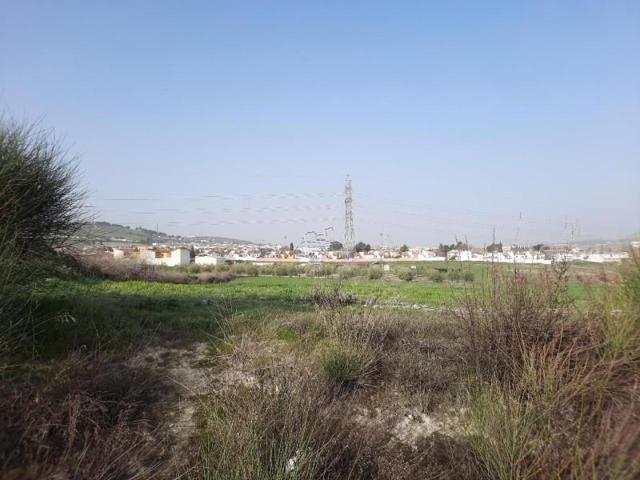 Terreno en venta en Lucena, Lucena photo 0
