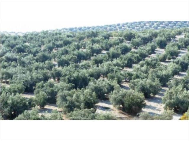 Terreno en venta en Lucena, Anjaron photo 0