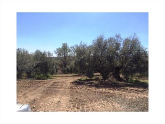 Terreno en venta en Lucena, Lucena photo 0