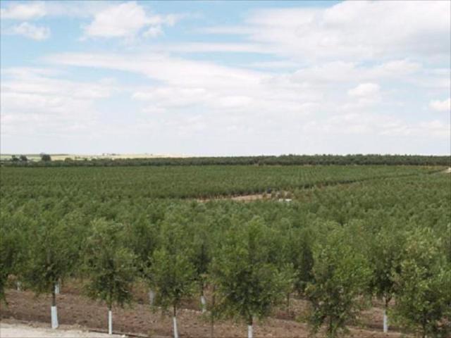 Terreno en venta en Lucena, Lucena photo 0