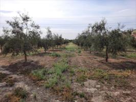 Terreno en venta en Lucena, Los Santos photo 0