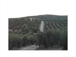 Terreno en venta en Lucena, Lucena photo 0