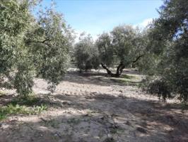 Terreno en venta en Encinas Reales, Venta del Río Anzur photo 0