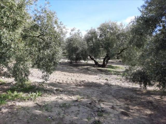 Terreno en venta en Encinas Reales, Venta del Río Anzur photo 0